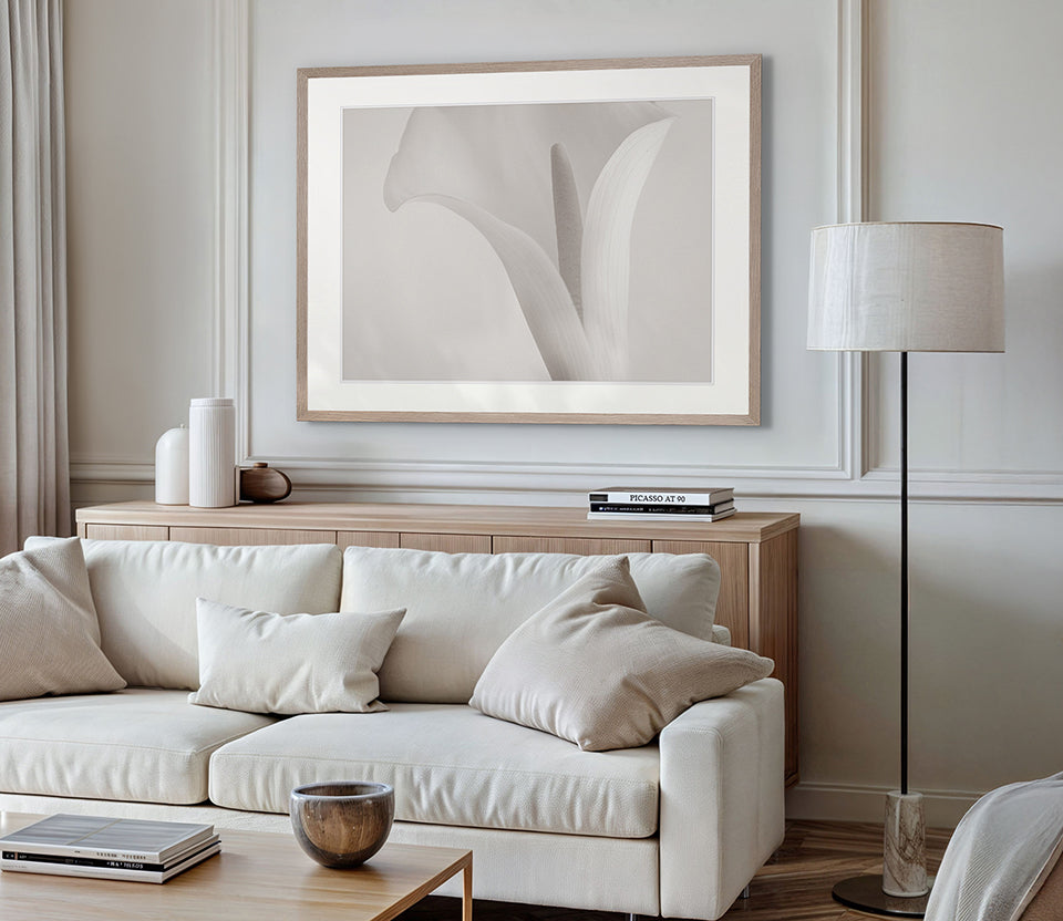 Calla V