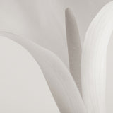 Calla V Small (560mm W x 465mm H) / Standard Clear Glass