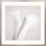 Calla VI Small (550mm W x 550mm H) / Standard Clear Glass