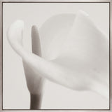 Calla VII (Canvas) Large (860mm W x 860mm H)