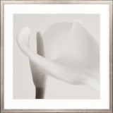 Calla VII Small (550mm W x 550mm H) / Standard Clear Glass