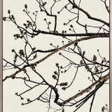 Canopy Silhouette II (Canvas)