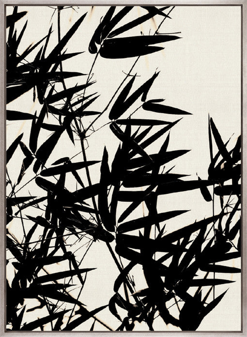 Canopy Silhouette IV (Canvas)
