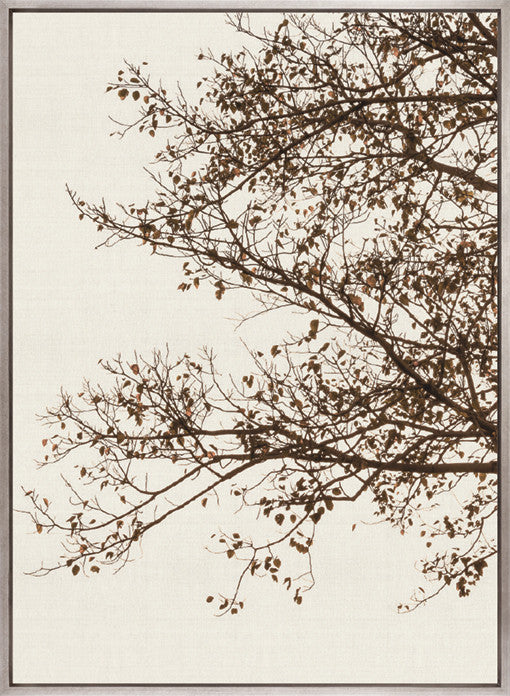 Canopy Silhouette V (Canvas)