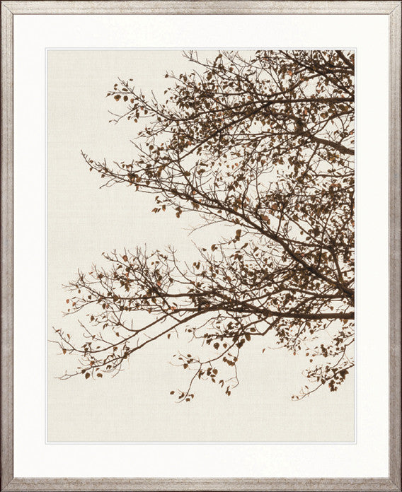 Canopy Silhouette V