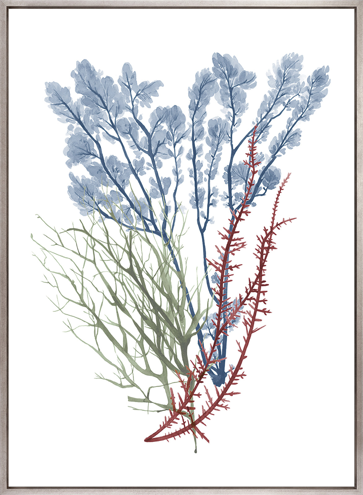 Seaweed Collage I (Canvas)