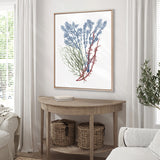 Seaweed Collage I (Canvas) Large (903mm W x 1109mm H)