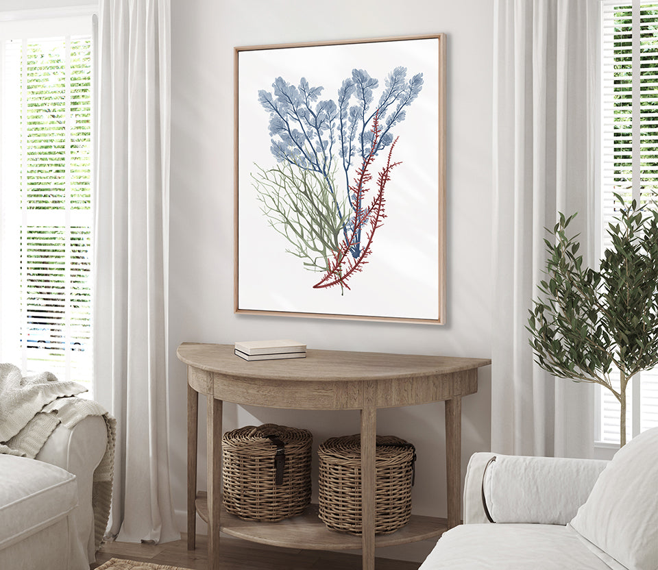 Seaweed Collage I (Canvas)