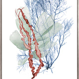 Seaweed Collage II (Canvas) Large (903mm W x 1109mm H)