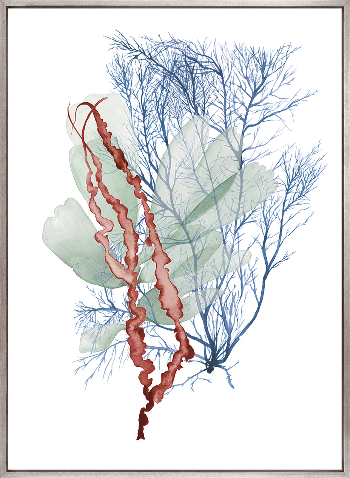 Seaweed Collage II (Canvas)