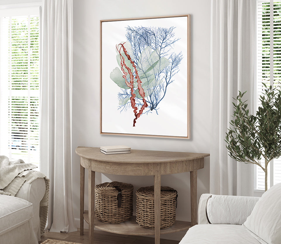 Seaweed Collage II (Canvas)