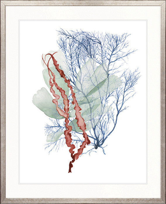 Seaweed Collage II