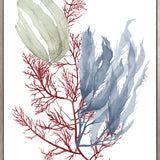Seaweed Collage III (Canvas) Large (903mm W x 1109mm H)