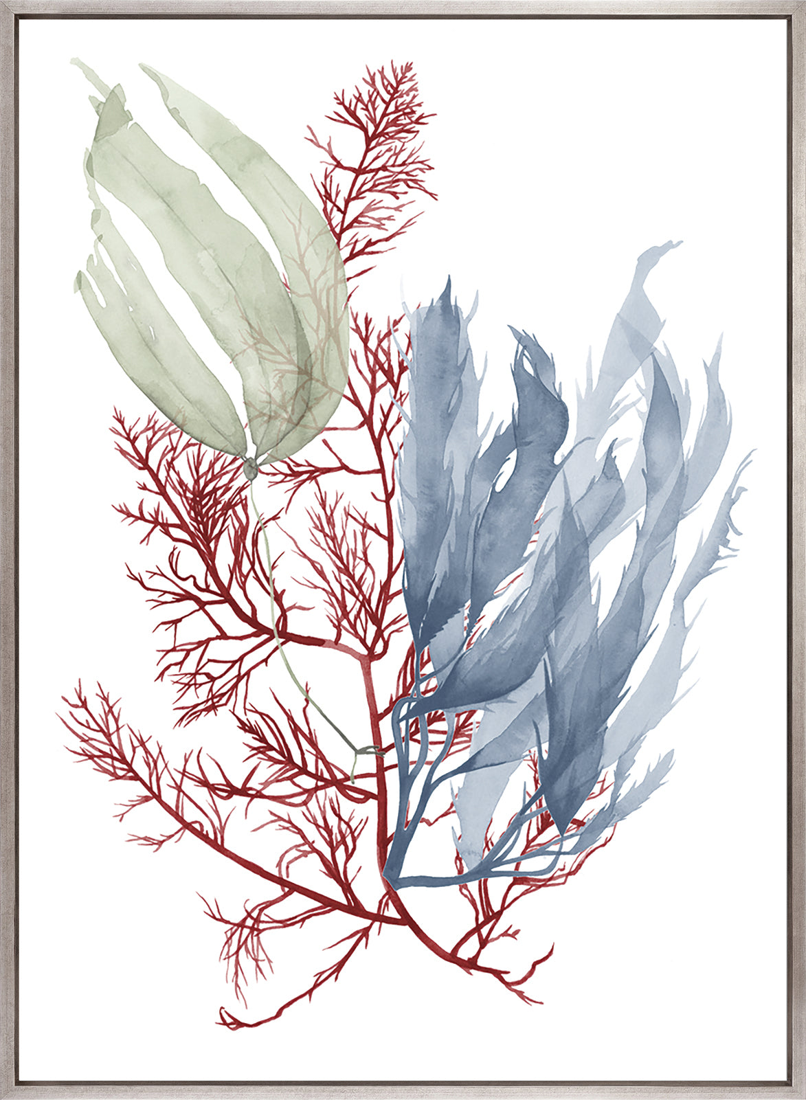 Seaweed Collage III (Canvas)