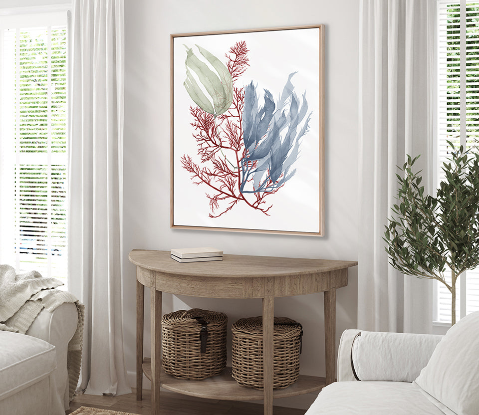 Seaweed Collage III (Canvas)