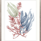 Seaweed Collage III