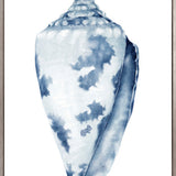 Exquisite Shell I (Indigo) (Canvas)