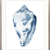 Exquisite Shell I (Indigo)