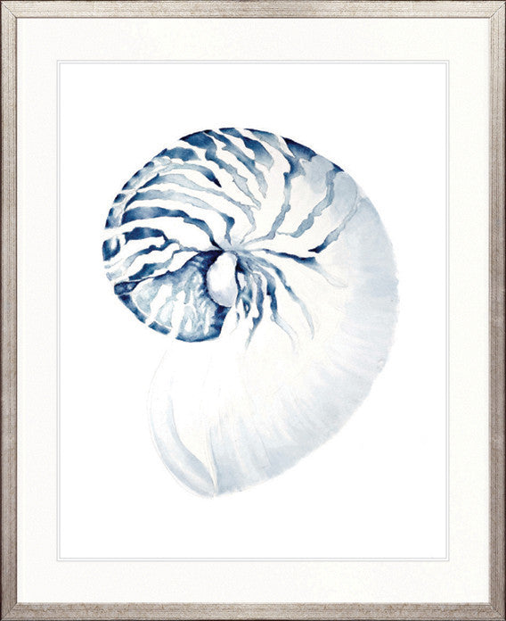 Exquisite Shell II (Indigo)