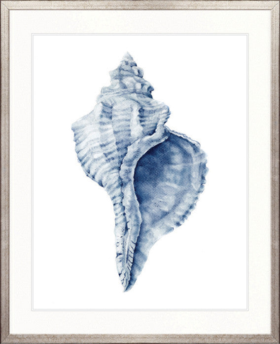 Exquisite Shell III (Indigo)