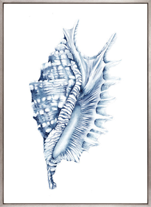 Exquisite Shell IV (Indigo) (Canvas)