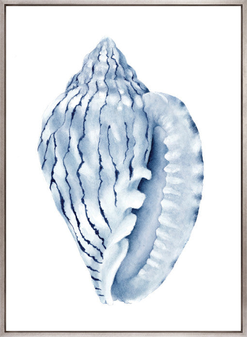 Exquisite Shell V (Indigo) (Canvas)