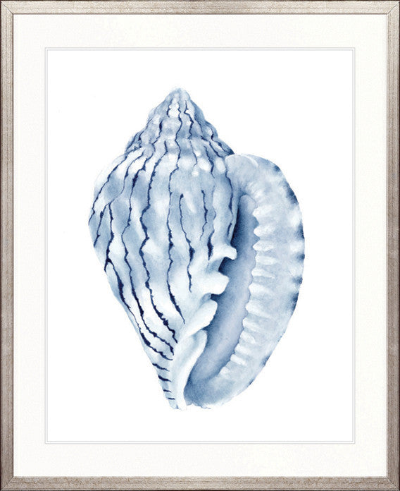 Exquisite Shell V (Indigo)