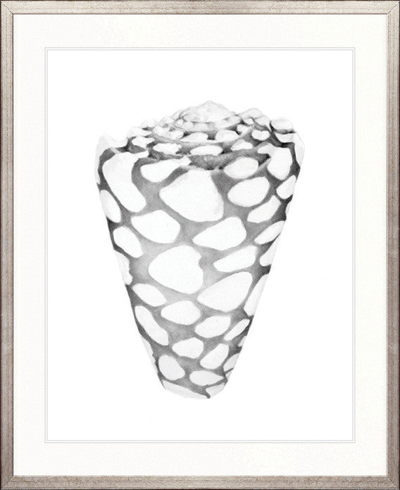 Exquisite Shell XII (Soft Grey)