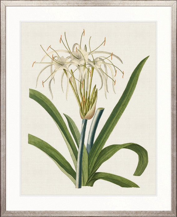 La Flora I