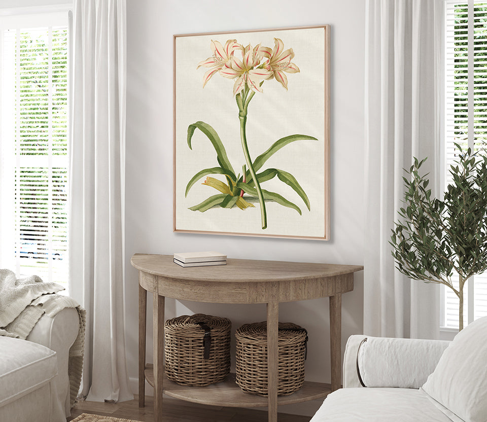 La Flora III (Canvas)