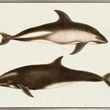Cassin Marine II (Canvas)