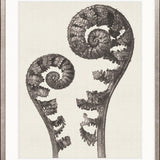 Botanique Specimen VII