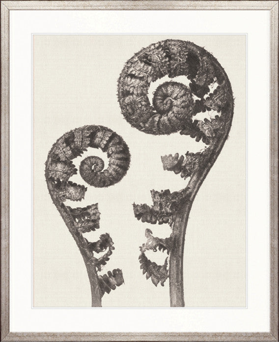 Botanique Specimen VII