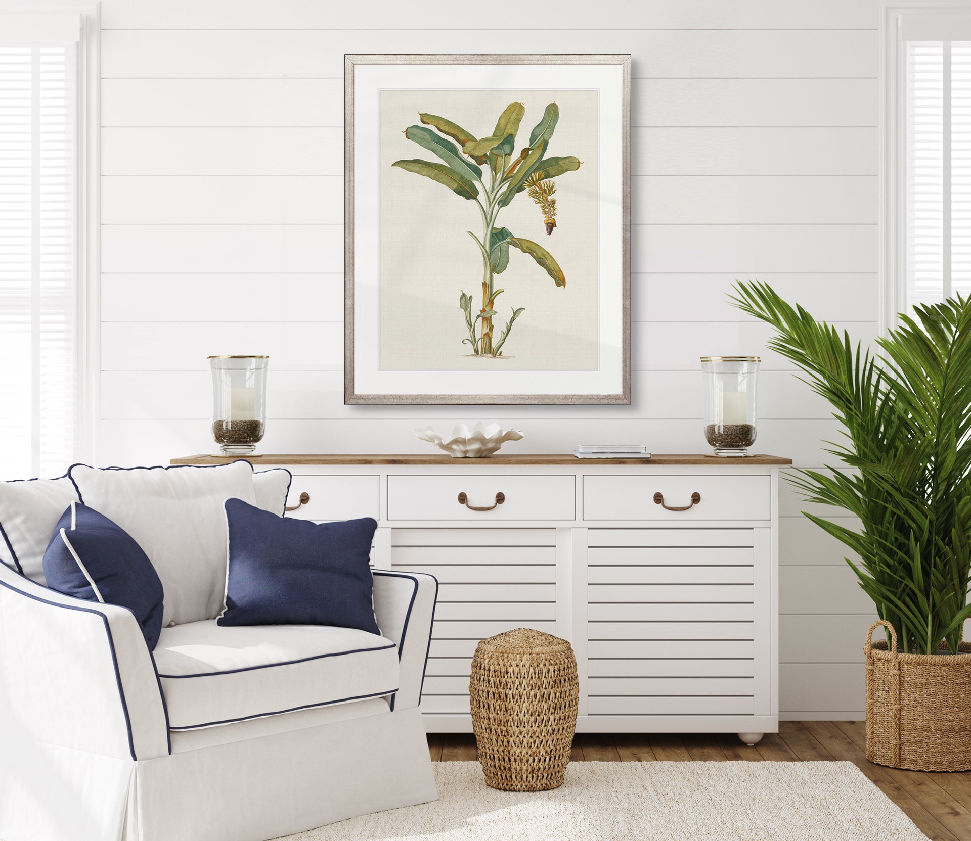 Chava Tropic Collection
