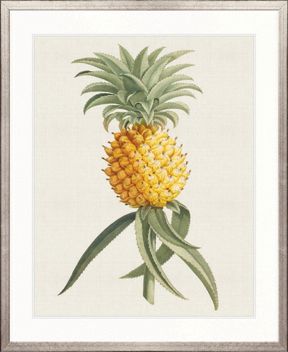 Tropical Splendour II