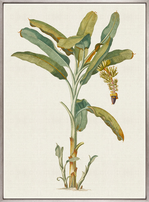 Tropical Splendour I (Canvas)