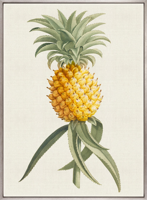 Tropical Splendour II Framed Canvas Art | Designer Boys