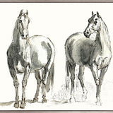Les Chevaux IV (Canvas)