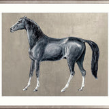 Elise Horses III