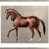 Elise Horses IV