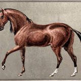 Elise Horses IV (Canvas)