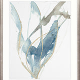 Cinderford Seaweed III