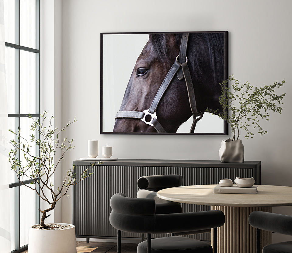 Majestic Thoroughbred XI (Canvas)