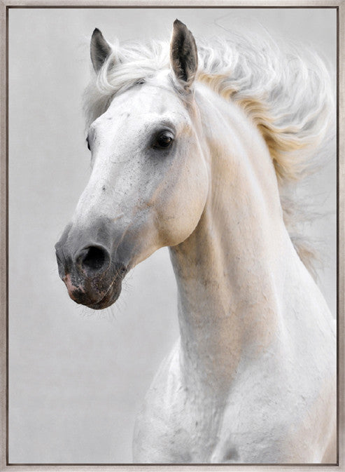 Majestic Thoroughbred VI (Canvas)