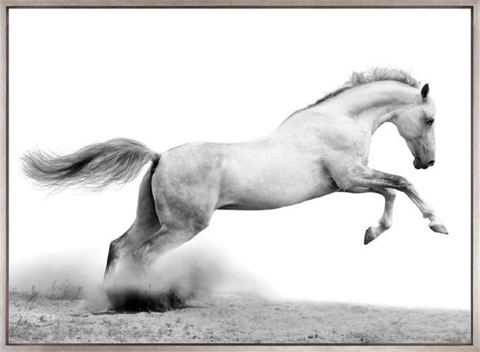 Majestic Thoroughbred XII (Canvas)