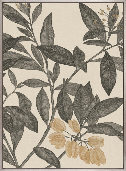 Cooks Floral Specimen I (Canvas)