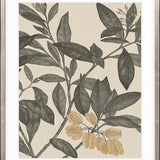 Cooks Floral Specimen I