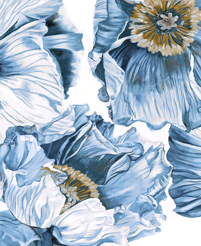 Cortona Floral I