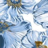 Cortona Floral II Small (465mm W x 560mm H) / Standard Clear Glass