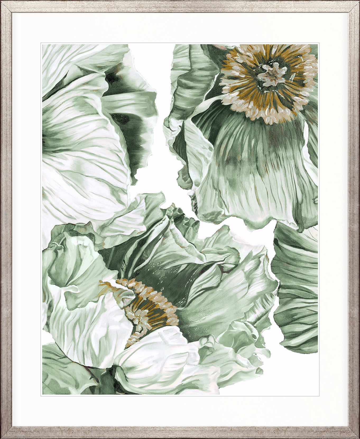 Cortona Floral IV